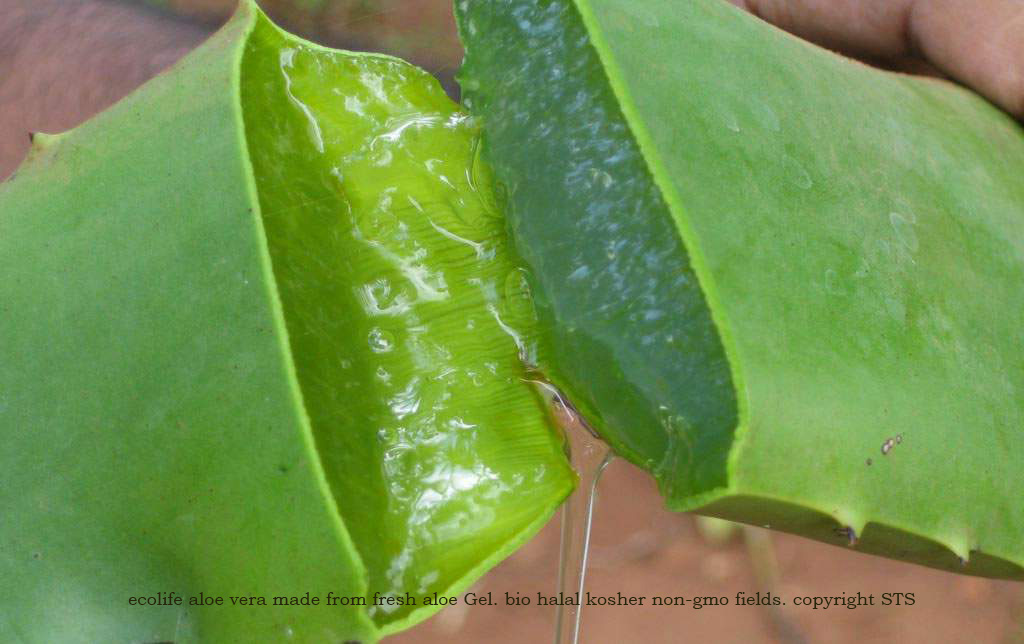 aloë vera gel - Ecolife Aloe Vera