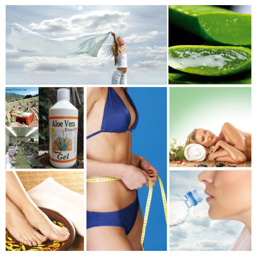 ecolife aloë vera gel en juice bio organic